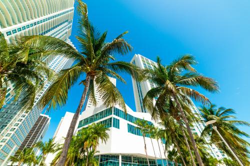 Prosegur Security Miami A commercial building in Miami that Prosegur provides security guard services for.