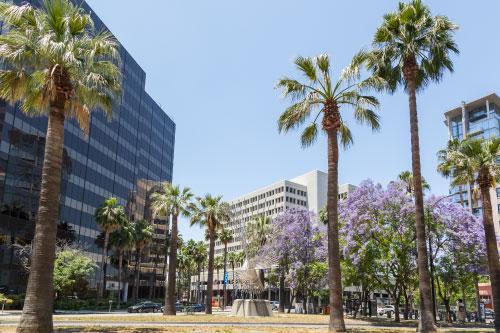 San Jose Bay Area Commercial Building A commercial property in San Jose Bay Area that Prosegur provides security guard services for