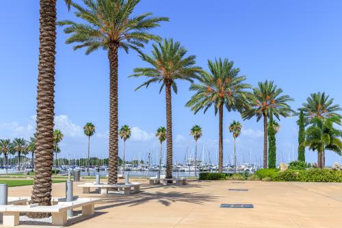 Prosegur Security Tampa A commercial building in Tampa that Prosegur provides security guard services for.