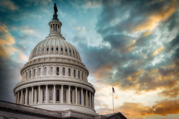 United States Political Risk Landscape Report 2025