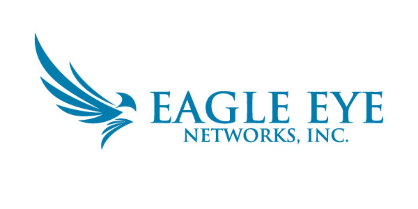 Eagle eye logo Eagle eye logo